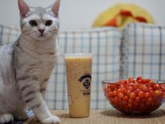 -茶百道(新城市广场店)