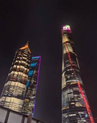 -巍阁高端月子会所