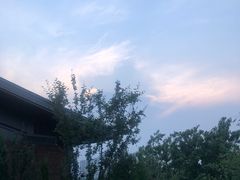 -北京云瑧金陵莲花酒店·莲·川小馆