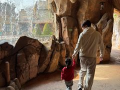 -美的鹭湖探索王国