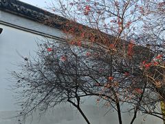 -八大山人梅湖景区
