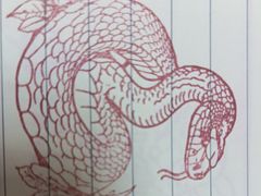-吉林省自然博物馆