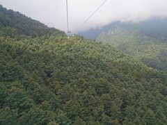 -苍山感通索道