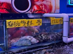 -四海之家(蛇口店)