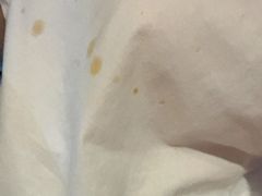 -二荆条·蜀鲜汇城市森林火锅