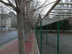 -辽宁大学(崇山校区)