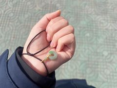 -中国农业大学动物医院