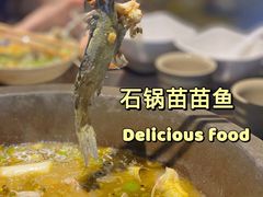 -石锅苗苗鱼(武汉首店)