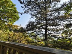 -帽儿山国家森林公园