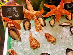 -永和铂爵国际酒店-威斯蒂娜西餐厅