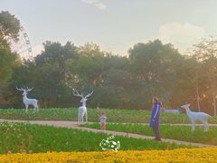 -雀儿山公园