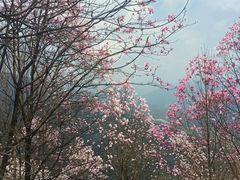 -九皇山景区