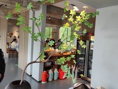 -宴武夷·匠心闽味(印象大红袍店)