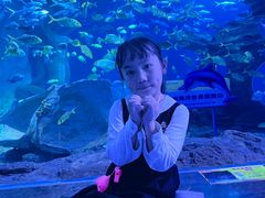-多彩贵州城极地海洋世界