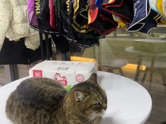 -FIGHTMAN格斗俱乐部(长宁临空店)