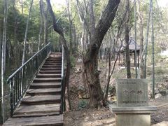 -宝岩生态观光园