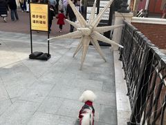 -京津佛罗伦萨小镇