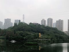 -重庆彩云湖湿地公园