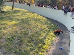 -合肥野生动物园
