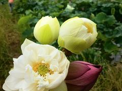 -东钱湖旅游度假区