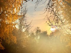 -月下料理(楷林IFC店)