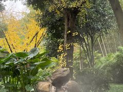 -融汇温泉