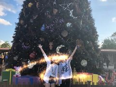 -奥兰多迪士尼动物王国乐园