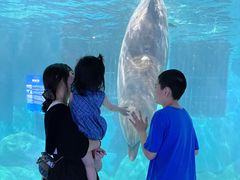 -福州罗源湾海洋世界旅游区