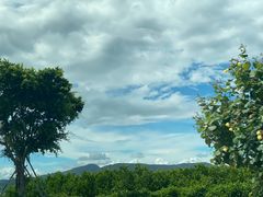 -广东惠东海龟国家级自然保护区