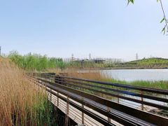 -马家湾湿地公园