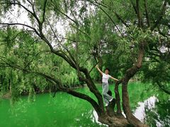 -贵阳市花溪国家城市湿地公园