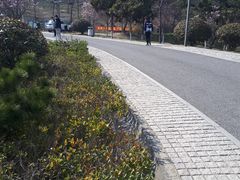 -浮山香苑