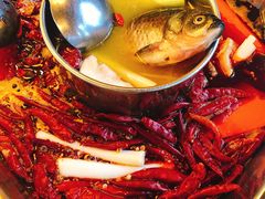-蜀九香火锅(九眼桥店)
