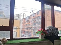 -苏袁麻辣烫(呼和浩特总局街店)