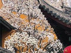-龙华寺