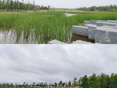 -春花秋色城市公园