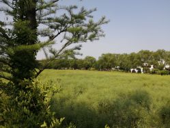 -风向标WIND VANE SALON