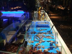 -加餐海鲜自助(宝龙一城店)