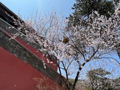 -妙峰山风景名胜区