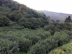 -缥缈峰景区