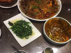 -楊公子民间菜