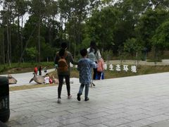 -广东惠东海龟国家级自然保护区