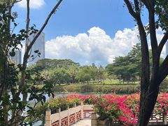 -深圳龙潭公园