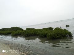 -霞山观海长廊