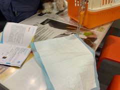 -伟伟宠物医院·CT影像中心·瑞派犬猫综合性门诊(汉口总院)