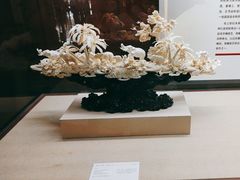 -广东省博物馆