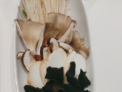 -蒙都43°9羊火锅·赤峰美食(宁城店)