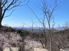 -北京十三陵国家森林公园蟒山景区