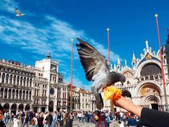 -圣马尔谷圣殿宗主教座堂