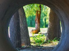 -东坝千亩湖公园